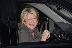 Martha Stewart looks ghoulish as she appears on US chat show
