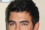 Joe Jonas `stopped at airport for carrying cheese knife` - But girlfriend of four months, Ashley Greene, said it was simply a cheese knife that the keen cook &hellip;