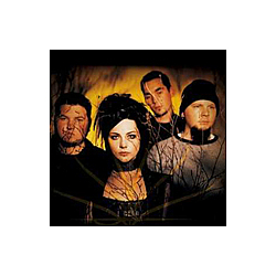Evanescence to take &#039;big risks&#039; on next album