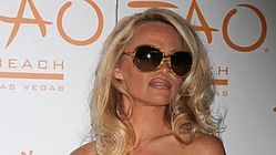 Pamela Anderson files $1 million lawsuit against ex