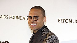 Chris Brown Hit-and-Run Probe