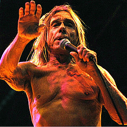 Iggy Pop: &#039;I&#039;d rather die in a shark attack than go to a nursing home&#039;