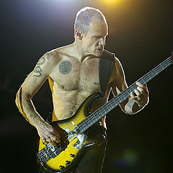 Red Hot Chili Peppers&#039; Flea to pen autobiography on &#039;rebellious&#039; life