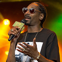 Snoop Dogg working with Pharrell and Stevie Wonder on new album