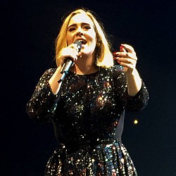 Adele concert marred by fan injury