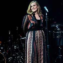 Adele: &#039;I never get spotted in public!&#039;