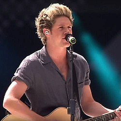 Niall Horan wins round of libel case