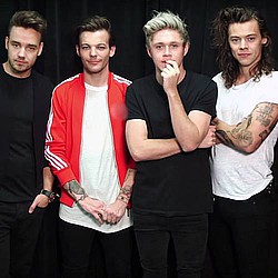 One Direction reveal 2016 resolutions