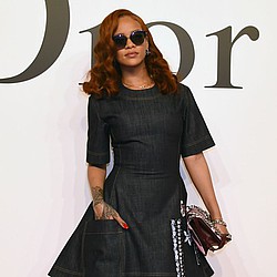 Rihanna ‘introduces new beau to fam’