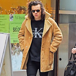 Harry Styles &#039;spoiled by girlfriend for birthday&#039;