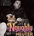 Naughty Boy: It&#039;s naughty not to neuter - Hot on the heels of his Brit Award nomination, comes a new collaboration from chart-topping sound &hellip;