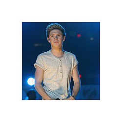 Niall Horan love affair &#039;secretive and exciting&#039;