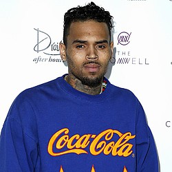 Chris Brown accused of stomping on fan&#039;s head