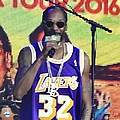 Snoop Dogg and Wiz Khalifa gig abandoned after railing collapse - A Snoop Dogg and Wiz Khalifa gig in New Jersey went horribly wrong on Friday night (05Aug16) when &hellip;