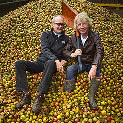 Status Quo to release of ‘Dog Of Two Head’ ale and the ‘Down Down’ cider
