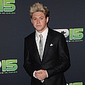 Niall Horan upset with mean Twitter fans - Niall Horan has slammed a group of &quot;abusive&quot; fans who have been sending the pop star inappropriate &hellip;