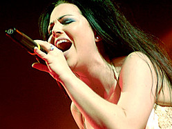 Evanescence Return With &#039;Dark, Beautiful&#039; Self-Titled Album