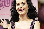 Katy Perry postpones gigs after attack of food poisoning - The 26-year-old has apologised to fans for cancelling shows in Chicago, Illinois, today and in St &hellip;