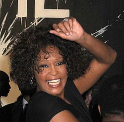 Whitney Houston told to belt-up by airline crew