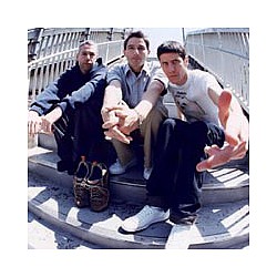 Beastie Boys to continue - but under new name?