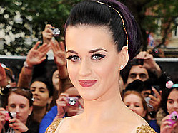 Katy Perry Gets Cheeky Following Water Park Wardrobe Malfunction