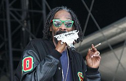 Snoop Lion wants gay marriage equality