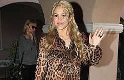 Shakira stressed about baby weight