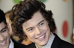Harry Styles&#039; post-show party with lap dancer?