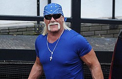 Hulk Hogan wants sex tape wiped from web